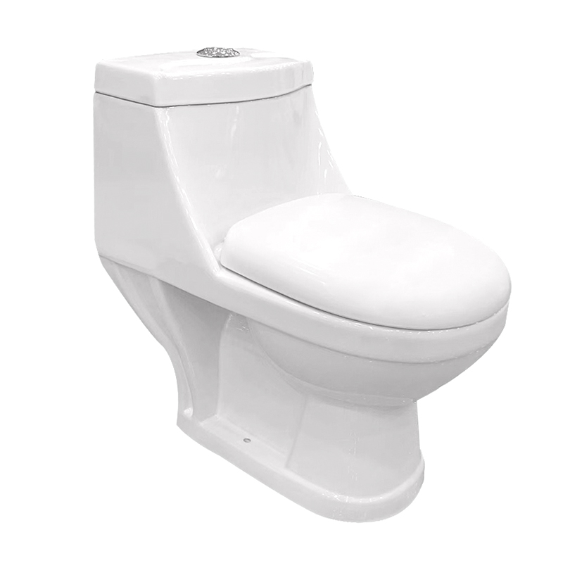 Washdown Flush S-trap 250mm Round in One-piece Toilet