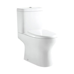 Hot Sale White Two Piece Toilet with Soft Close Seat