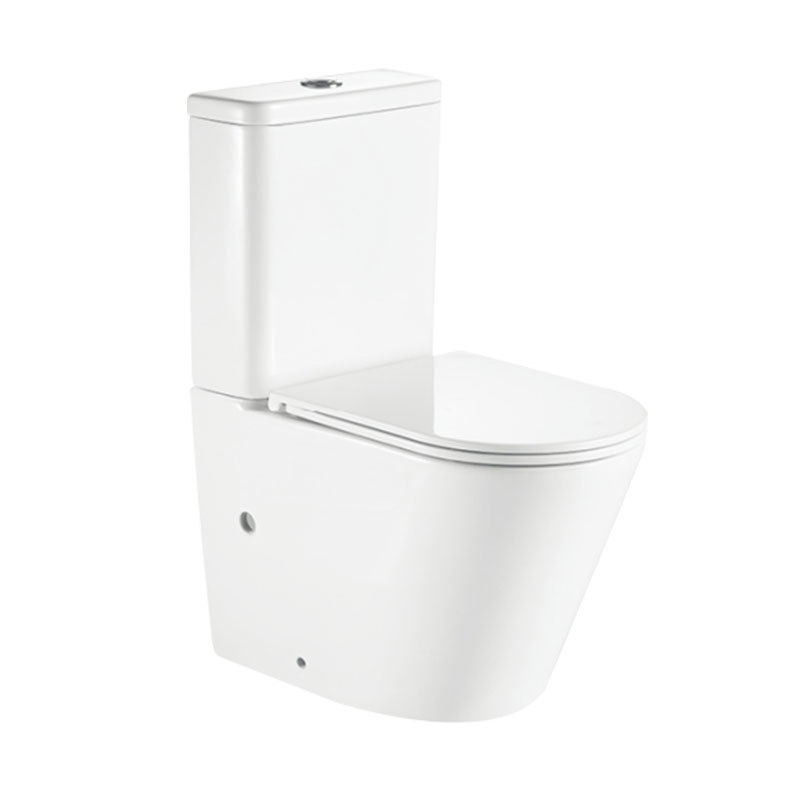 Modern Round Wash Down Flush Two Piece Toilet with Soft Close Seat