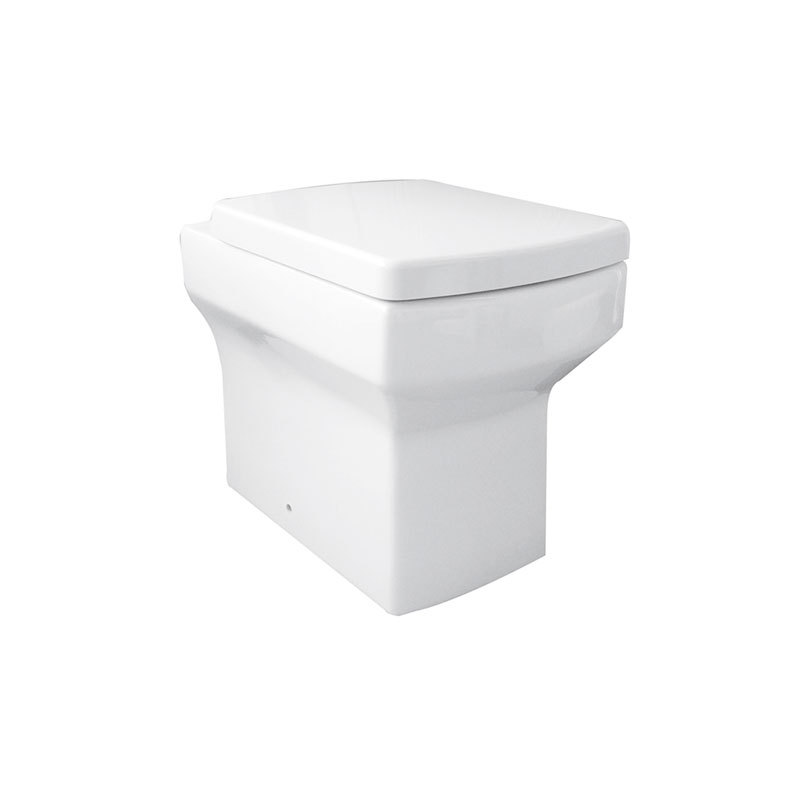 Modern Ceramic Freestanding Wash Dowl Toilet