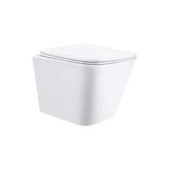 Custom Cheap Dual Flush Wall Hung Toilet with Soft Close Seat