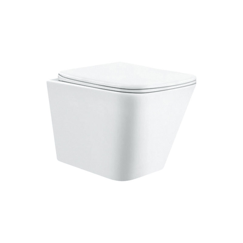 Custom Cheap Dual Flush Wall Hung Toilet with Soft Close Seat
