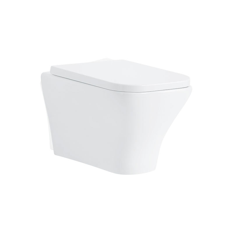 Modern Ceramic Rimless Wall Hung Toilet