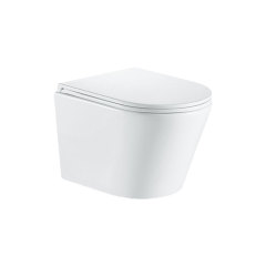Custom Dual Flush Wall Hung Toilet with Soft Close Seat