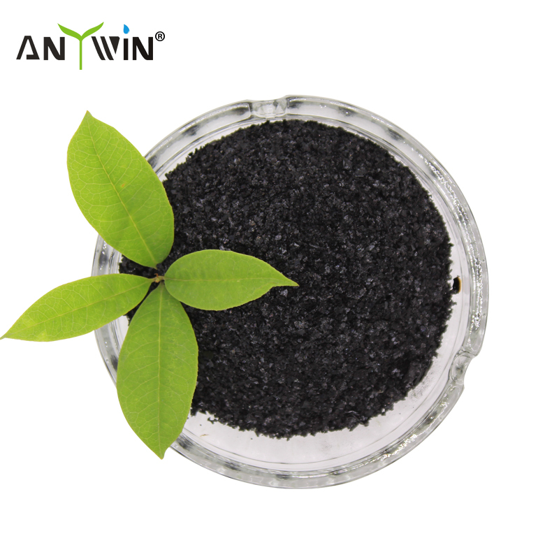 seaweed extract fertilizer