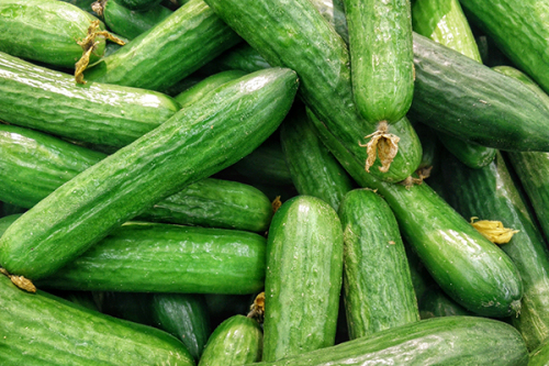 Cucumber