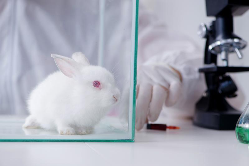 生物相容性等效报告