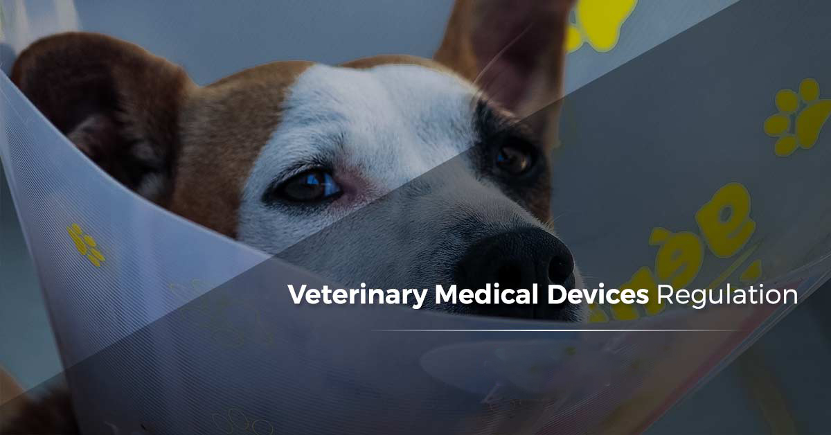 【欧盟】兽医医疗器械 （VMD）兽医用体外诊断测试（IVDV）监管