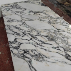 Natural Marble Home Decor Low Calacatta Viola Marble Plinth Coffee Table