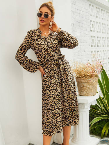 Women'S A Line Dress Light Brown Long Sleeve Leopard V Neck Basic Hot S M L Xl