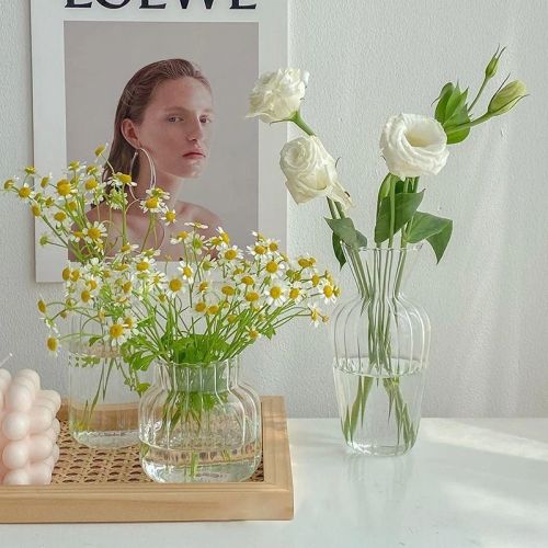 Flower Bottle Transparent Hydroponic Vase Glass Bottle for Flowers Desktop Decoration אגרטל זכוכית