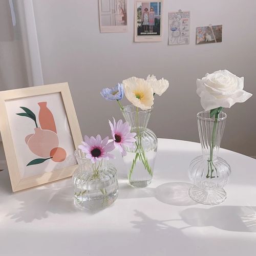 Flower Bottle Transparent Hydroponic Vase Glass Bottle for Flowers Desktop Decoration אגרטל זכוכית