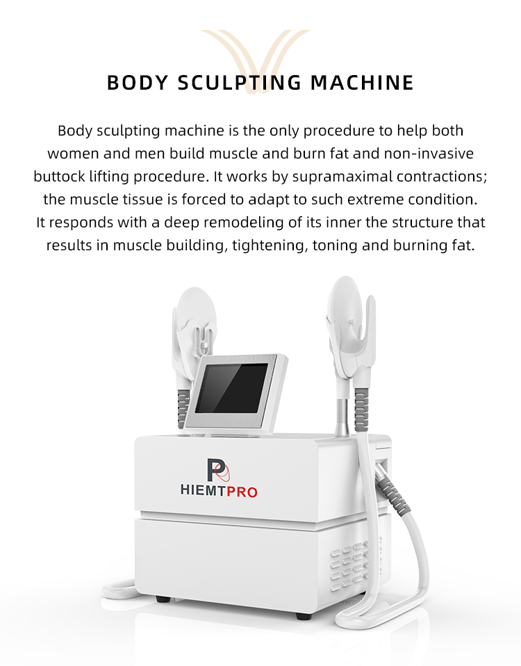 Ems Muscle Stimulator 2 Handles