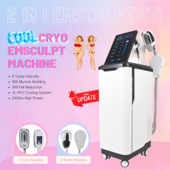 2 In 1 4 Handle 5 Tesla Cryo Body Sculpting Machine Cryolipolysis Fat Freezing EMS Slimming Machine