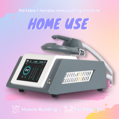 Home Use 1 Handle Handle Muscle Building Buttock Lift Ems Body Sculpt Machine At Home