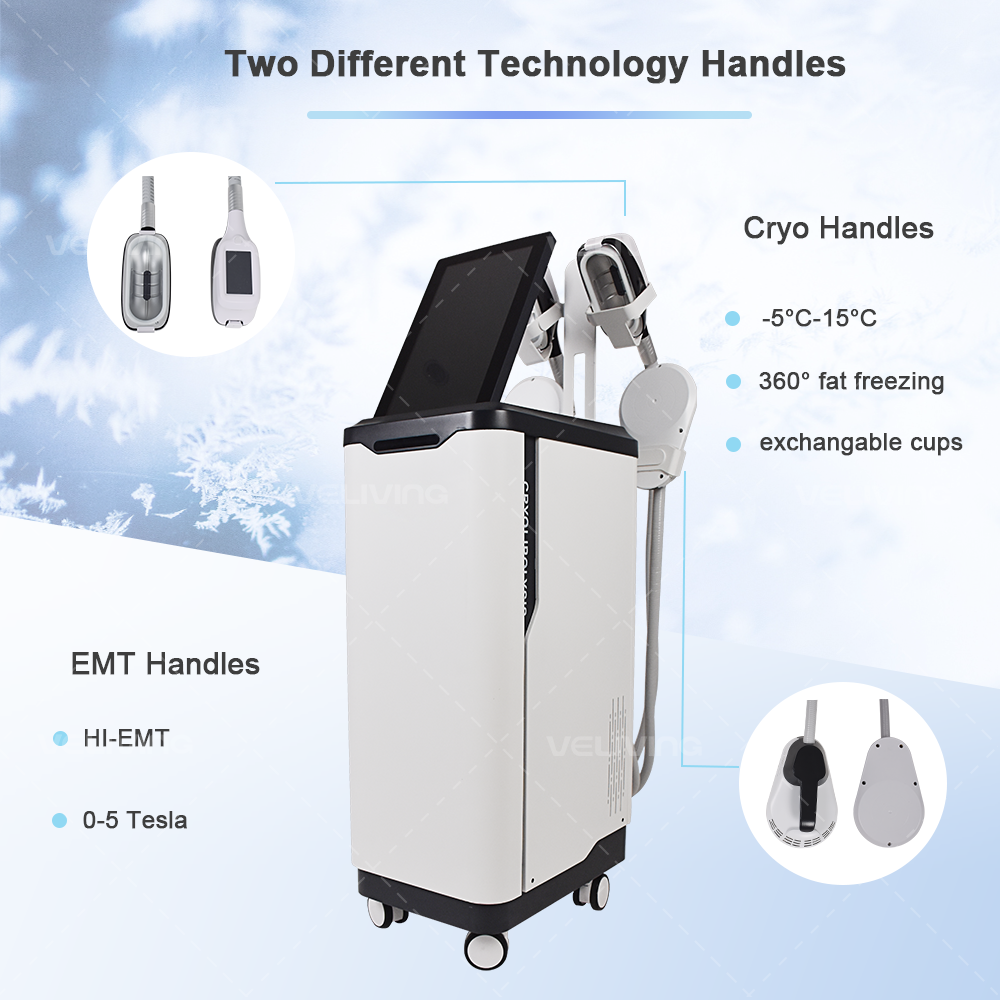 2 In 1 4 Handle 5 Tesla Cryo Body Sculpting Machine Cryolipolysis Fat Freezing EMS Slimming Machine
