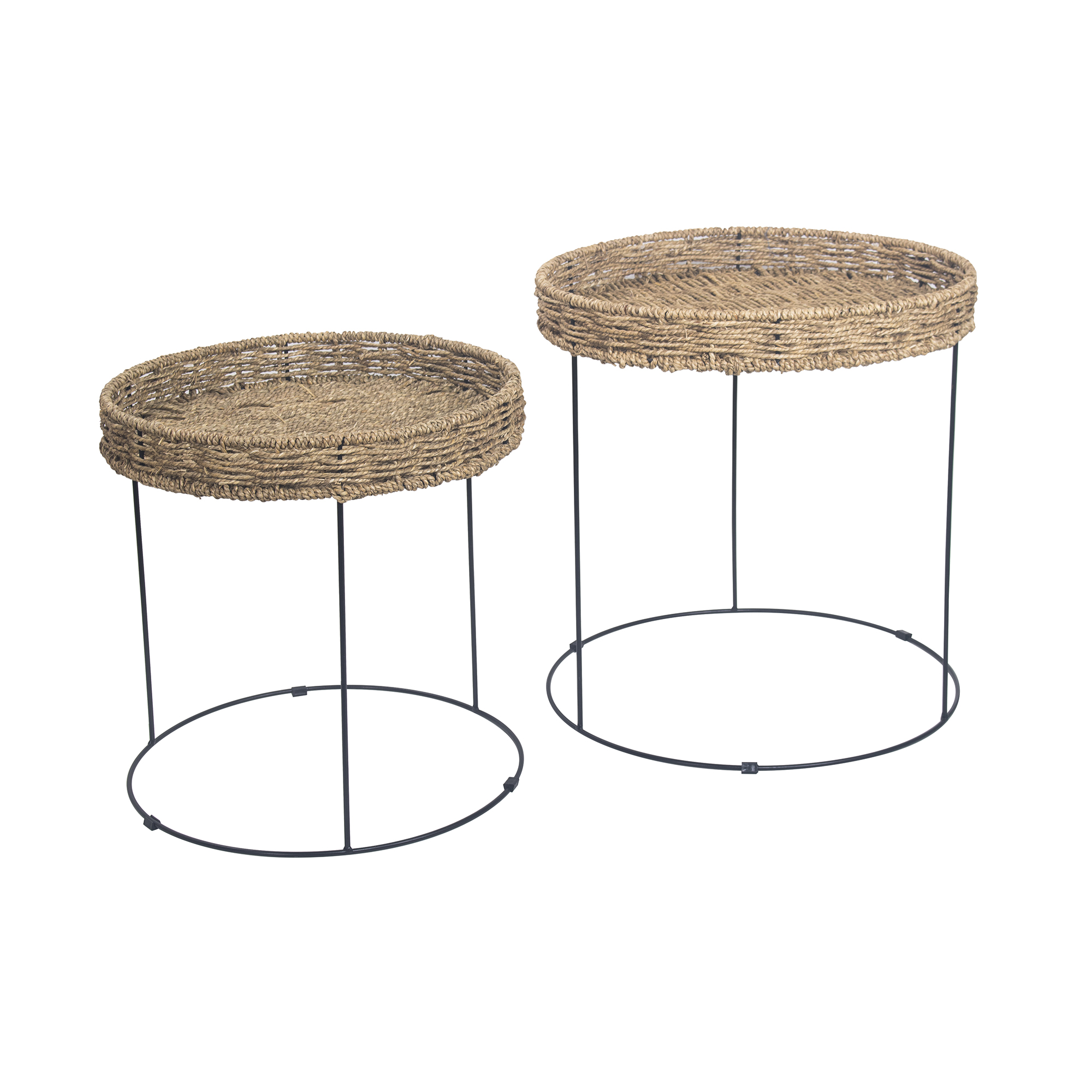 Set of 2 Metal Nesting  Table with Cattail Top