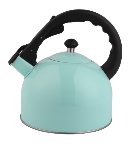Stainless Steel Whistling Kettle With Color Painting 2.5L