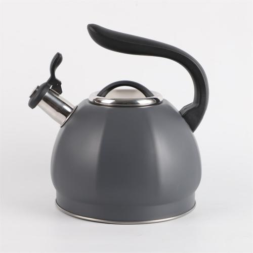 Stainless Steel Tea Kettle With Nylon Handle 3.0L