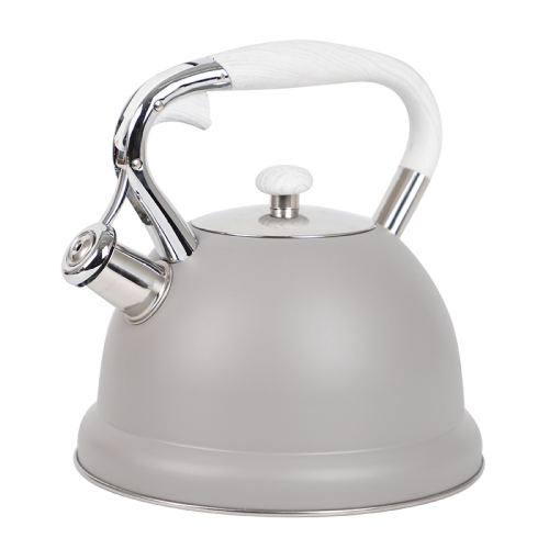 Stainless Steel Tea Kettle With Botton Cool Touch 3.0L