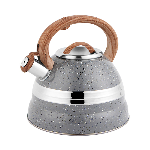 Stainless Steel Whistling Tea Kettle 3.0L