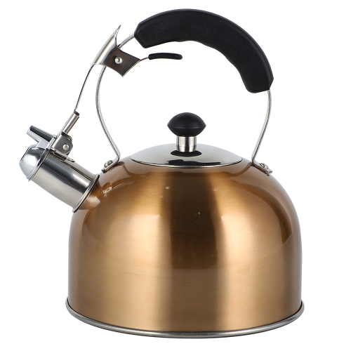 Painting Stainless Steel Whistling Kettle 2.5L/3.0L