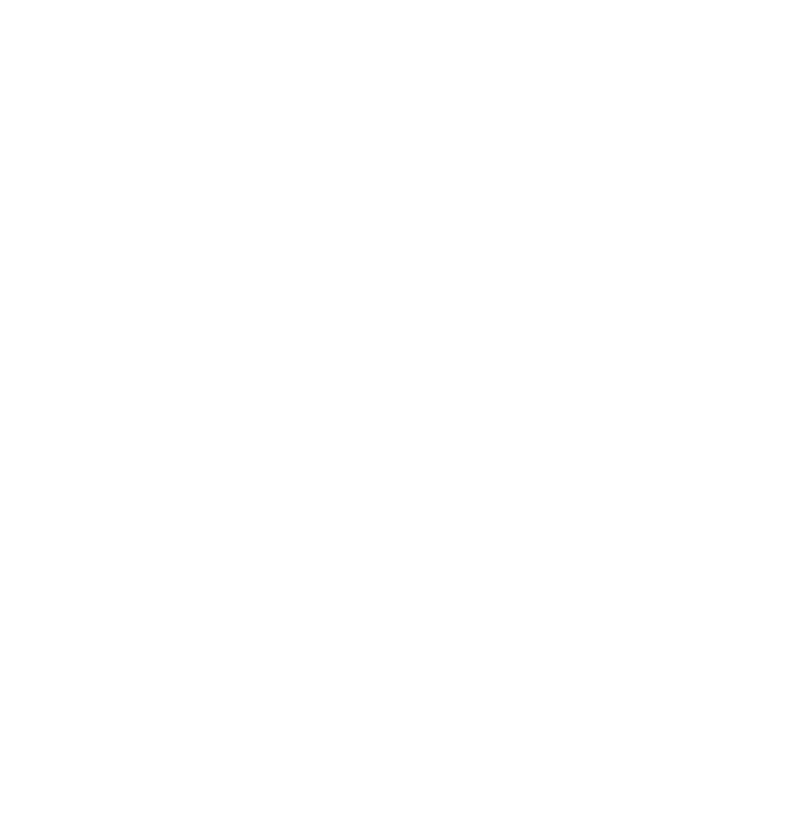 傲灵师