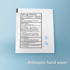 Antiseptic hand wipes