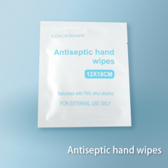 Antiseptic hand wipes
