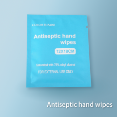 Antiseptic hand wipes