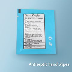 Antiseptic hand wipes
