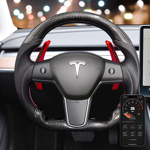 TDD Smart Paddle Shifter for Tesla