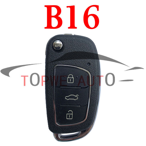 B16-3