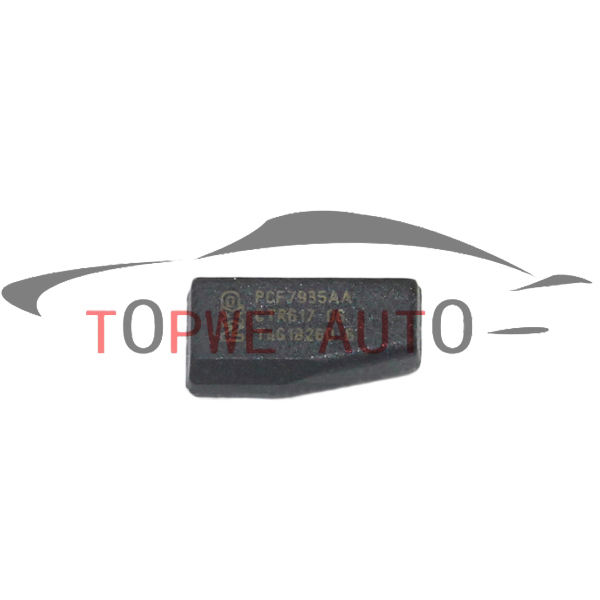 TP-chip-030