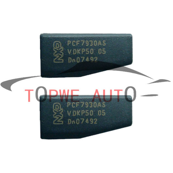 TP-chip-053