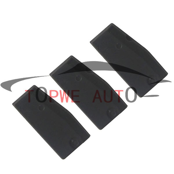 TP-chip-040