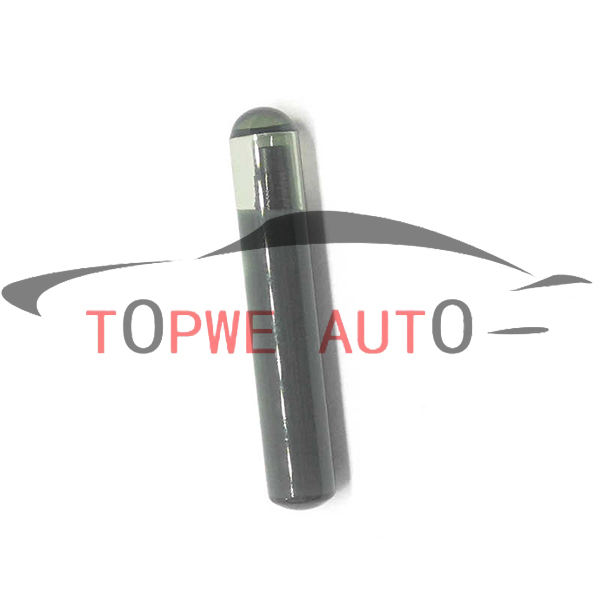 TP-chip-038