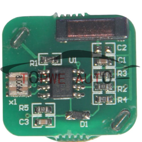 TP-chip-010