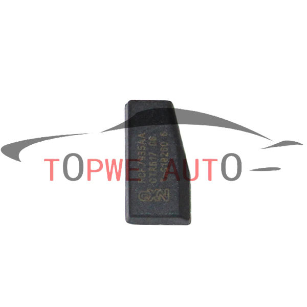 TP-chip-030