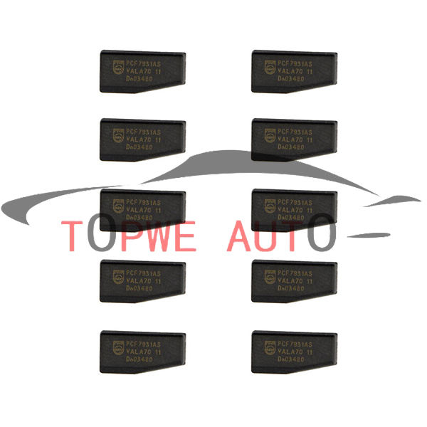TP-chip-043