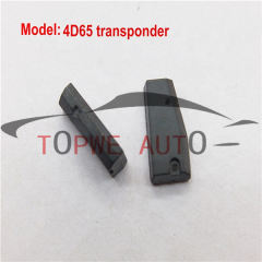 TP-chip-013