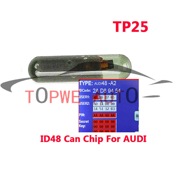 TP-chip-005