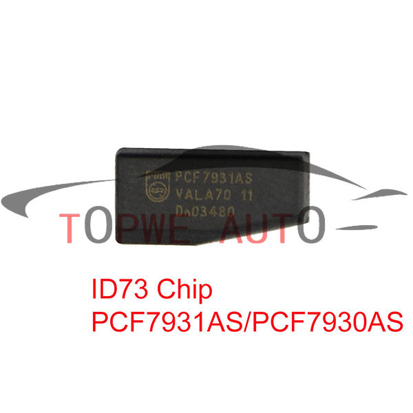 TP-chip-043