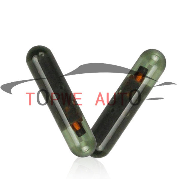 TP-chip-004B