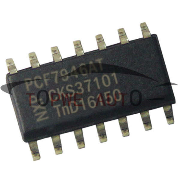 TP-chip-027