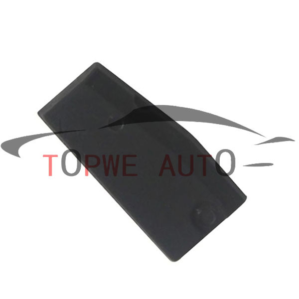 TP-chip-040