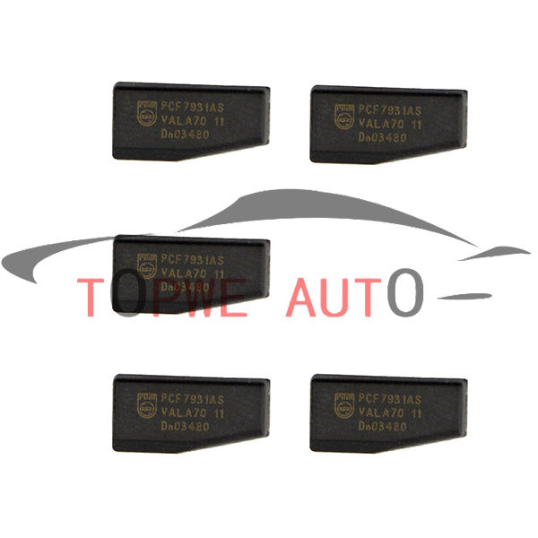 TP-chip-043