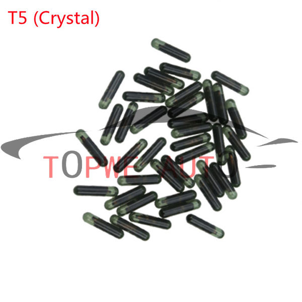 TP-chip-008