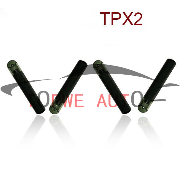 TP-chip-036