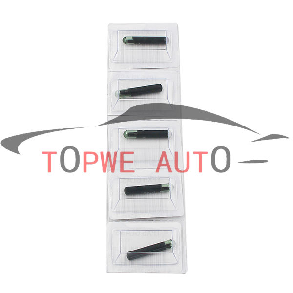 TP-chip-038